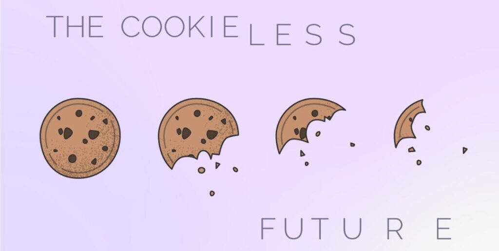 The Cookieless Future - Bozng